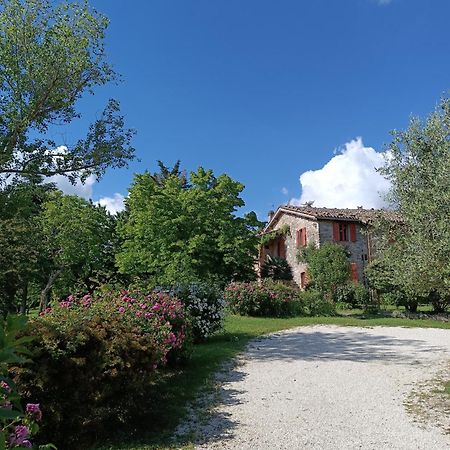 Pilgrim Rooms Gubbio Dış mekan fotoğraf