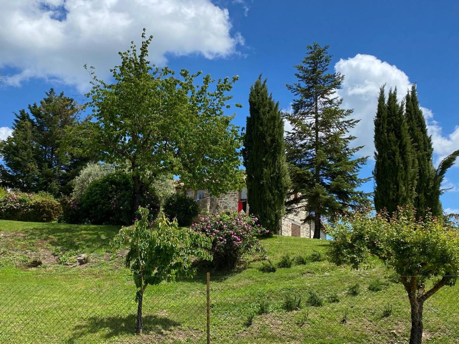 Pilgrim Rooms Gubbio Dış mekan fotoğraf