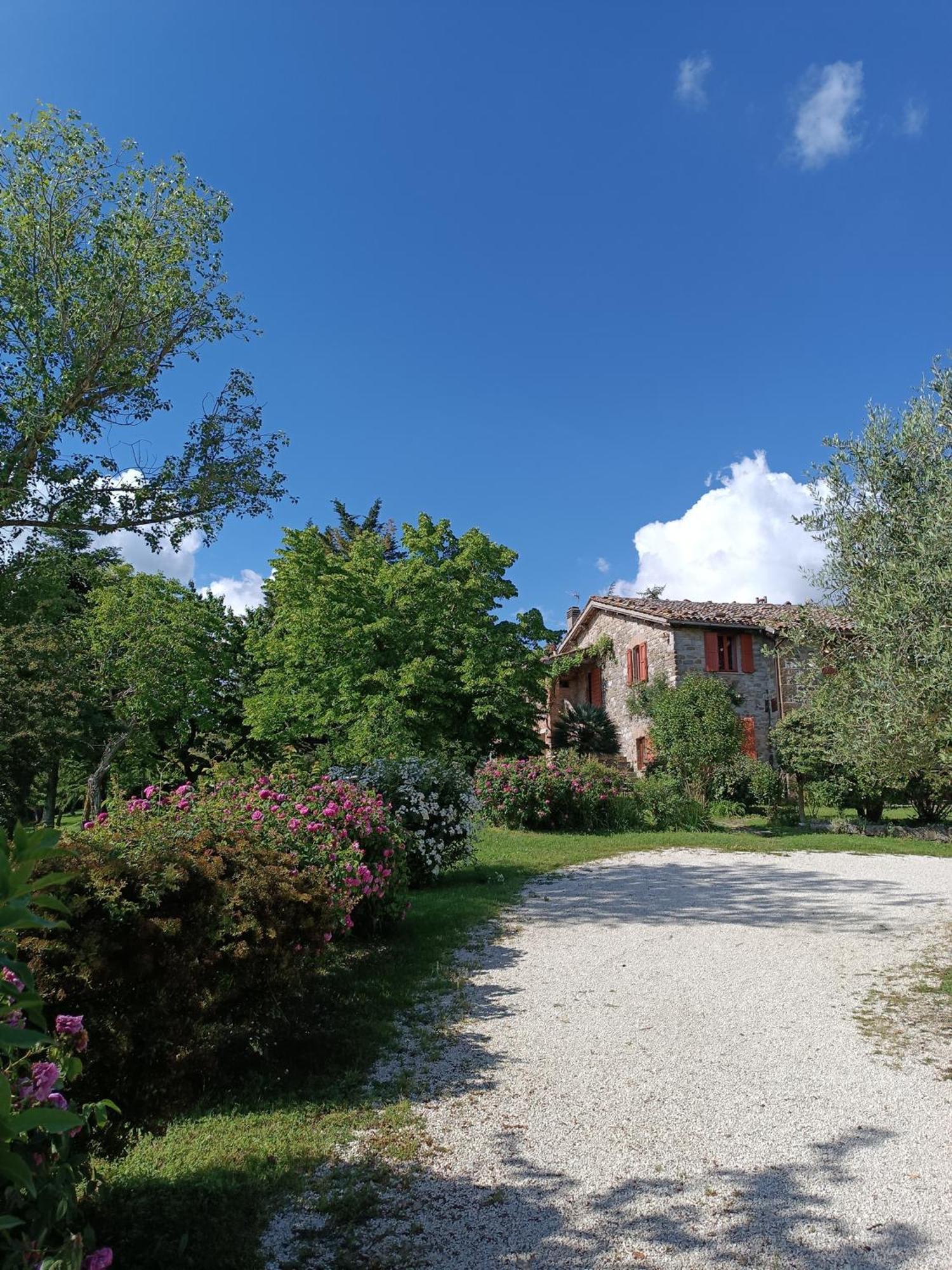 Pilgrim Rooms Gubbio Dış mekan fotoğraf