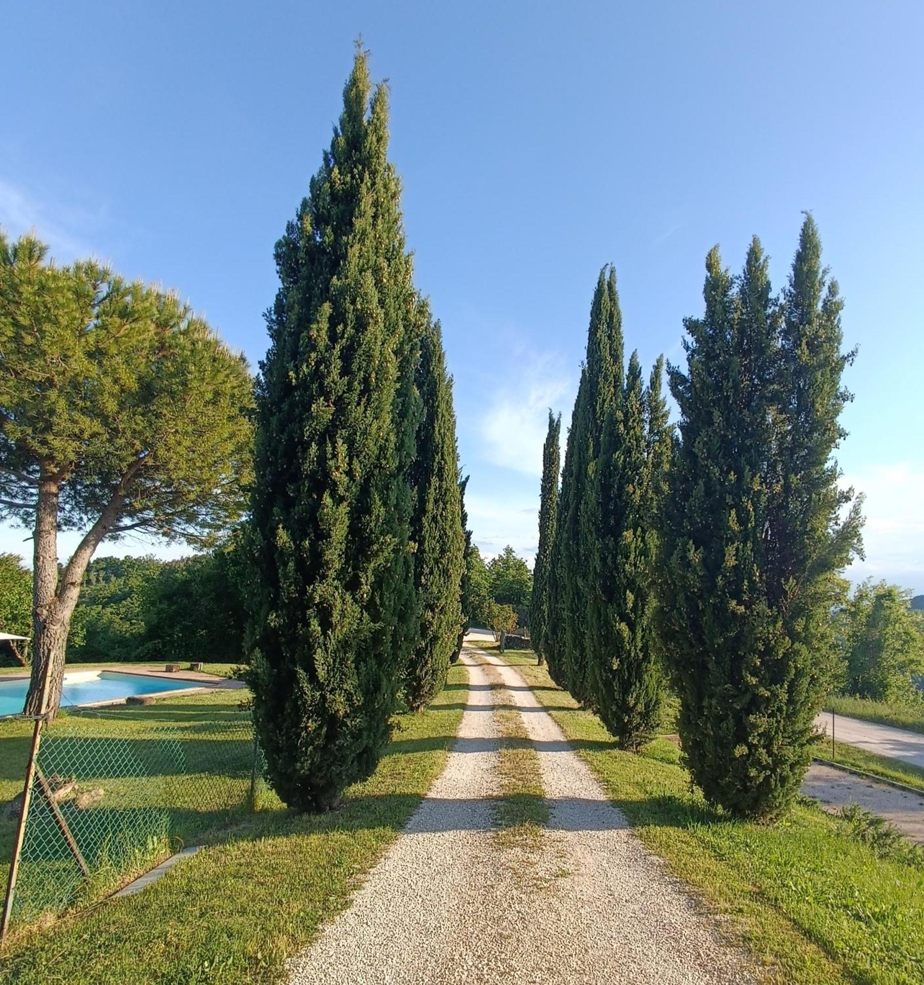 Pilgrim Rooms Gubbio Dış mekan fotoğraf
